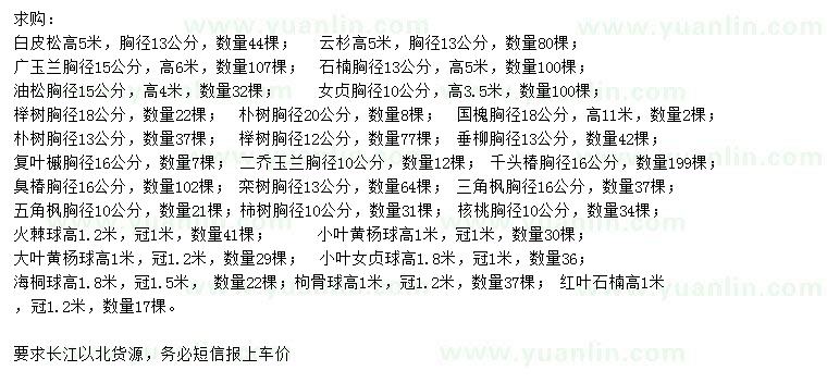 求購白皮松、云杉、廣玉蘭等