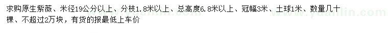 求購米徑19公分以上紫薇