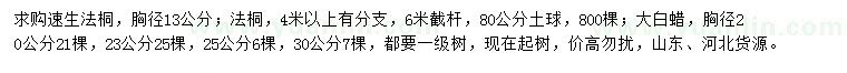 求購(gòu)速生法桐、法桐、大白蠟