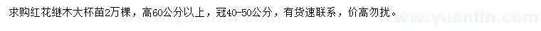求購冠40-50公分紅花繼木