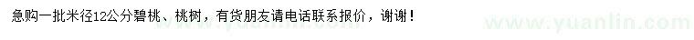 求購(gòu)米徑12公分碧桃、桃樹