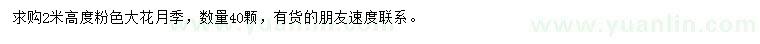 求購高2米粉色大花月季