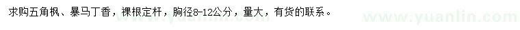 求購胸徑8-12公分五角楓、暴馬丁香