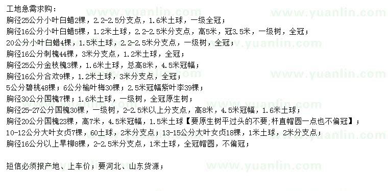 求購(gòu)小葉白蠟、刺槐、金枝槐等