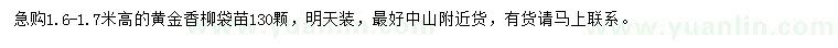 求購高1.6-1.7米黃金香柳