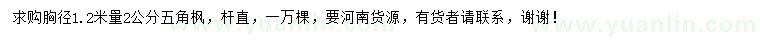 求購1.2米量2公分五角楓