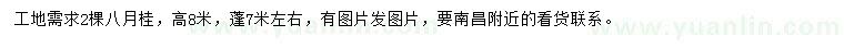 求購高8米八月桂