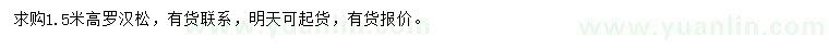 求購高1.5米羅漢松