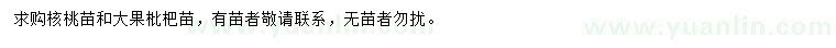 求購核桃苗、大果枇杷苗