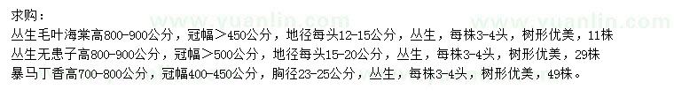 求購(gòu)叢生毛葉海棠、無患子、暴馬丁香