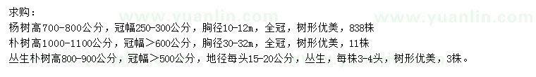 求購楊樹、樸樹、叢生樸樹
