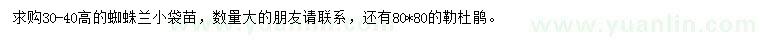 求購高30-40公分蜘蛛蘭、高80公分勒杜鵑