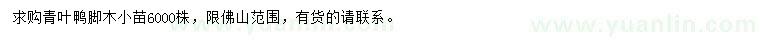求購青葉鴨腳木小苗