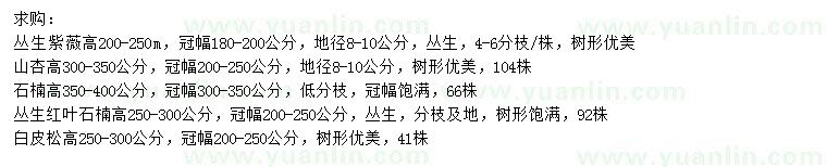 求購叢生紫薇、山杏、石楠等