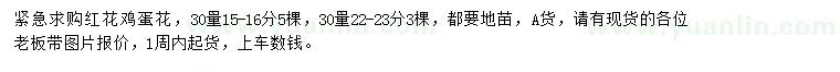求購紅花雞蛋花