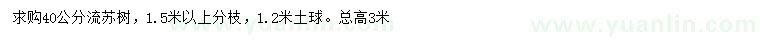 求購(gòu)40公分流蘇樹