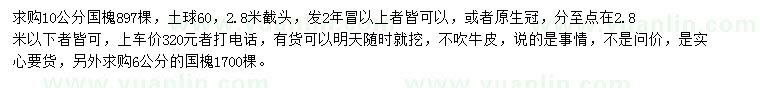 求購6、10公分國槐