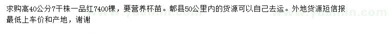 求購高40公分一品紅杯苗