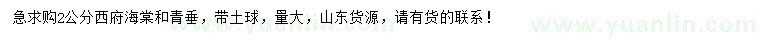 求購2公分西府海棠、青垂
