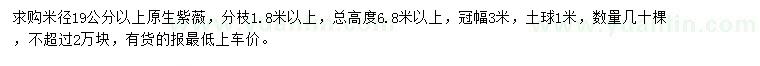 求購米徑19公分以上原生紫薇