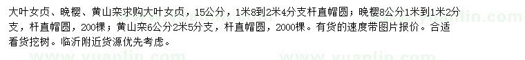 求購(gòu)大葉女貞、晚櫻、黃山欒 