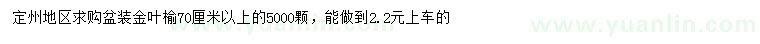 求購(gòu)70公分以上金葉榆