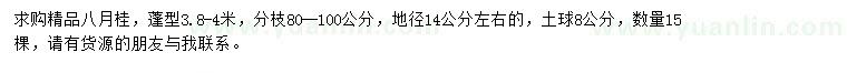 求購地徑14公分精品八月桂