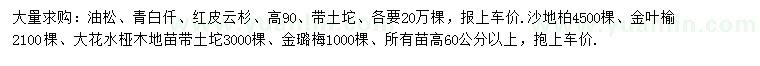 求購油松、青白仟、紅皮云杉等