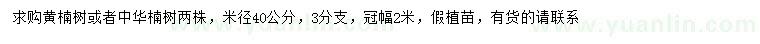 求購(gòu)米徑40公分黃楠樹(shù)或者中華楠樹(shù)