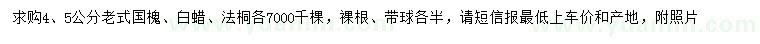 求購(gòu)老式國(guó)槐、白蠟、法桐