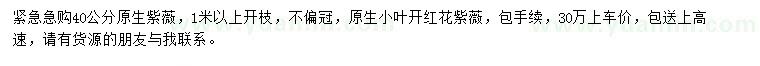 求購40公分原生紫薇