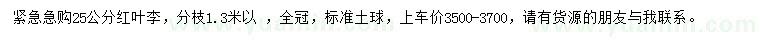 求購25公分紅葉李