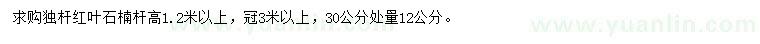求購(gòu)30公分處量12公分紅葉石楠
