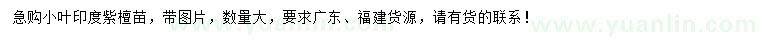 求購小葉印度紫檀小苗