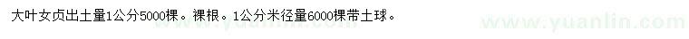 求購1公分大葉女貞