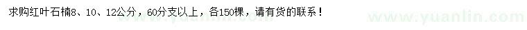 求購8、10、12公分紅葉石楠