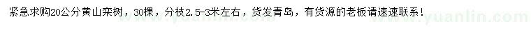 求購20公分黃山欒樹