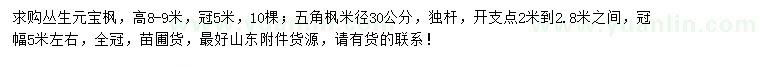 求購叢生元寶楓、五角楓