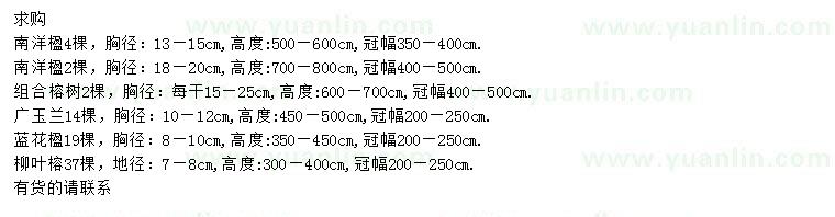 求購南洋楹、組合榕樹、廣玉蘭等