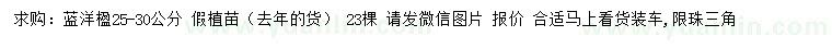 求購25-30公分藍洋楹