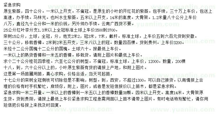 求購紫薇、欒樹、香樟等