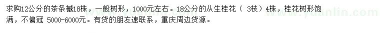 求購(gòu)12公分茶條槭、18公分從生桂花