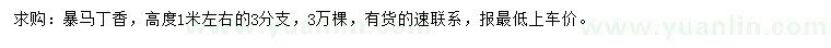 求購(gòu)高1米左右暴馬丁香