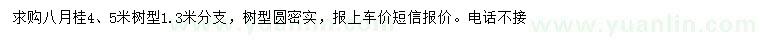 求購(gòu)4、5米八月桂