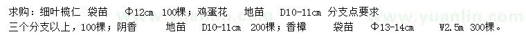 求購細葉欖仁、雞蛋花、陰香等