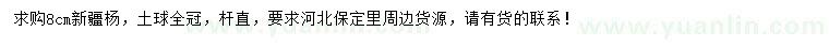 求購8公分新疆楊