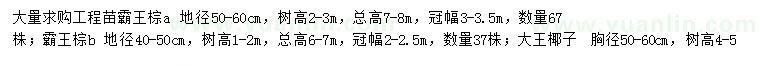 求購霸王棕、大王椰子、銀海棗等