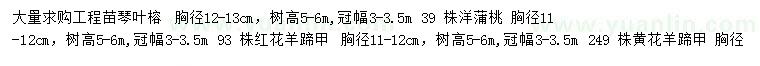 求購琴葉榕、洋蒲桃、黃花羊蹄甲等