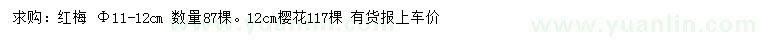 求購11-12公分紅梅、12公分櫻花