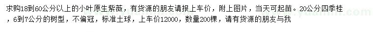 求購18-60公分以上小葉原生紫薇、20公分四季桂